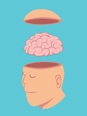 Head and Brain of Human