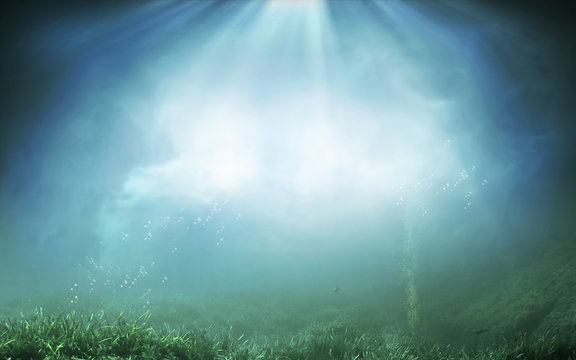 underwater illustration image