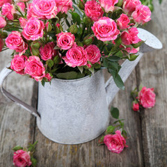 Bouquet of pink roses  in watering can