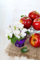 Apples