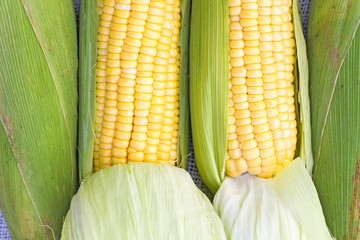 corns backgrounds