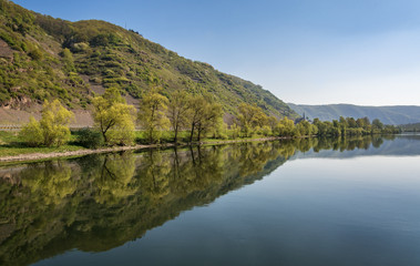 Fototapeta na wymiar River landscape in Germany