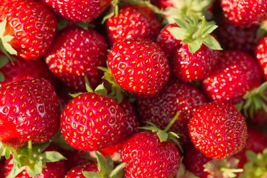 background from fresh ripe strawberries