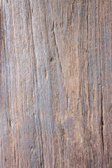 Wood background