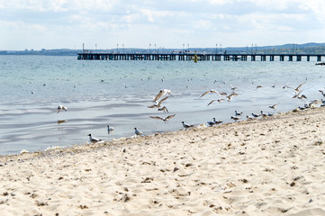 Obraz premium View on the pier in Gdynia Orlowo, poland