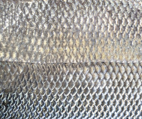 fish scale background © Tony A