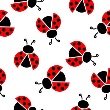 Ladybug pattern