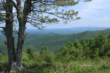 Obraz na płótnie Canvas Appalachenlandschaft in Virginia (bei Rock Castle Gorge)