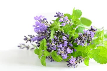 Crédence de cuisine en verre imprimé Lavande lavande et menthe sur fond blanc