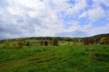 pole, łąka  © wedrownik52