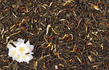 jasmine flowers on a background of tea. View from above.