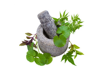 A granite pestle and mortar with neem leaves and gotu kola inside.