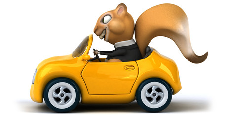 Obraz premium Fun squirrel