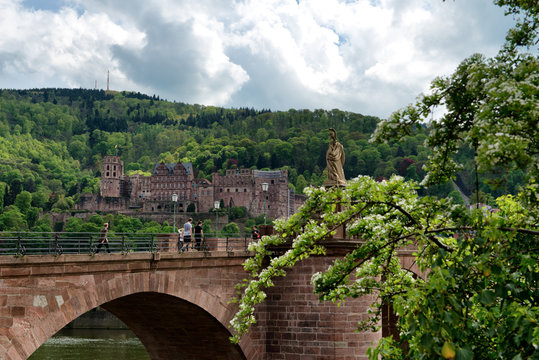 Heidelberg Castle and Historic Old Bridge