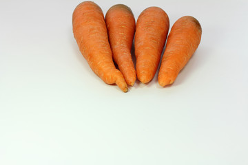 五寸人参を並べる