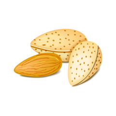 Almonds label - vector illustration