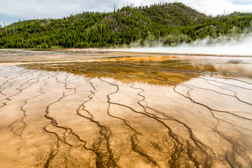 Grand Prismatic Spring - Yellowstone N.P.