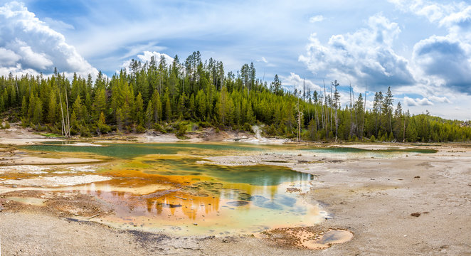 Norris Basin in Yellowstone N.P.