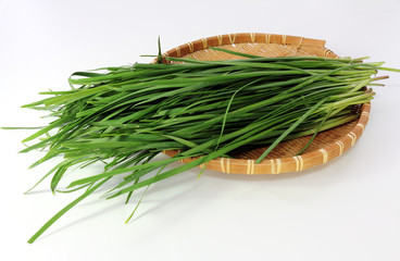 ニラの束をざるに乗せる