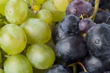 Grape
