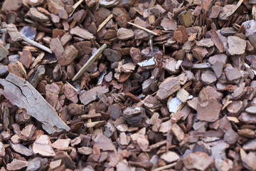 Wood chip background texture with small chips