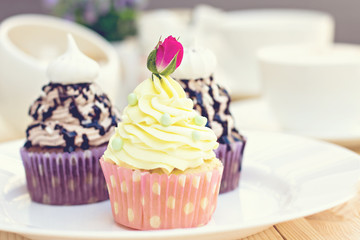Chocolate Cupcake with chocolate frosting on the table