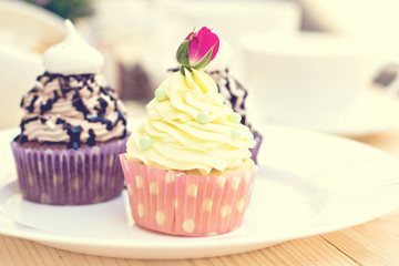 Chocolate Cupcake with chocolate frosting on the table