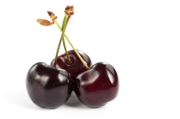 Cherries 