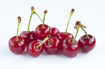 Morello cherries 