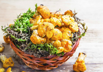 Chanterelle Mushrooms