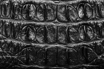 Black Crocodile Leather background texture
