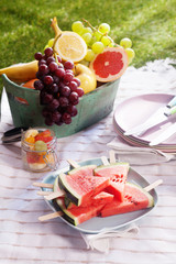 Healthy fresh fruit dessert at a picnic