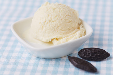 Scoop of tonka bean ice cream
