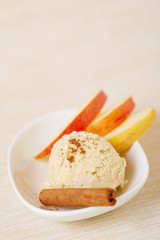 Cinnamon ice cream with cinnamon stick