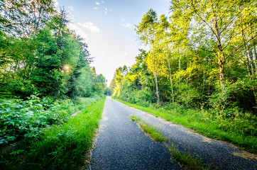 Obraz premium Landstrasse