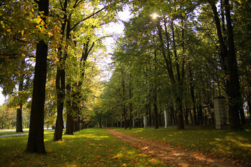 Summer in the city park landscape