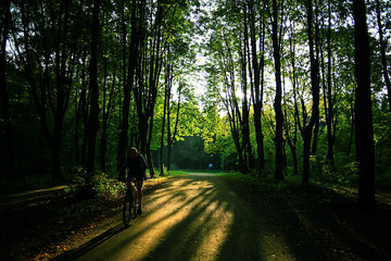 Fototapeta premium Summer in the city park landscape