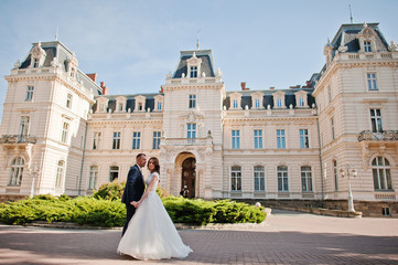 wedding couple on background of great historical palace