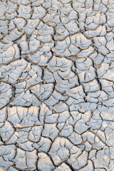 Cracked dried ground dirt.