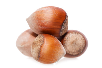 hazelnut