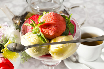 sorbet