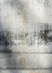 Fototapeta premium Grey concrete surface
