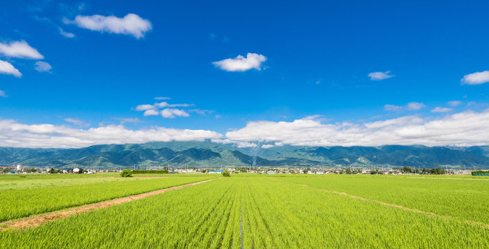 信州　安曇野の田園風景