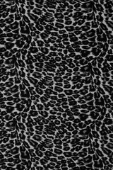 Leopard background