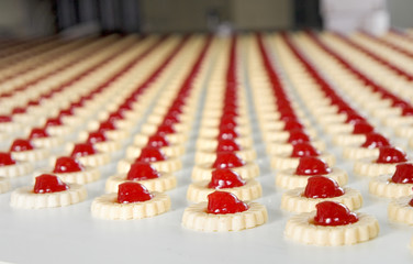 Production of biscuits
