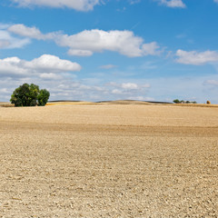 Fototapeta premium Spain in Autumn