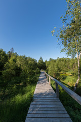 Einsamer Steg durch das Hochmoor im Solling bei gutem Wetter