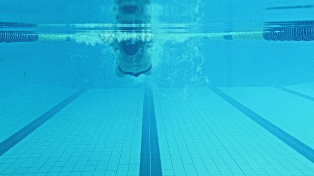 Young swimmer in a swimming pool