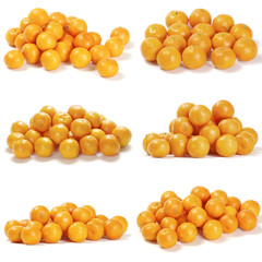 Collection of juicy tangerines or mandarins isolated on white background