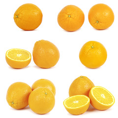 collection oranges